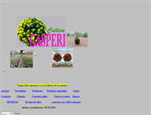Tablet Screenshot of cultivogasperi.com.ar